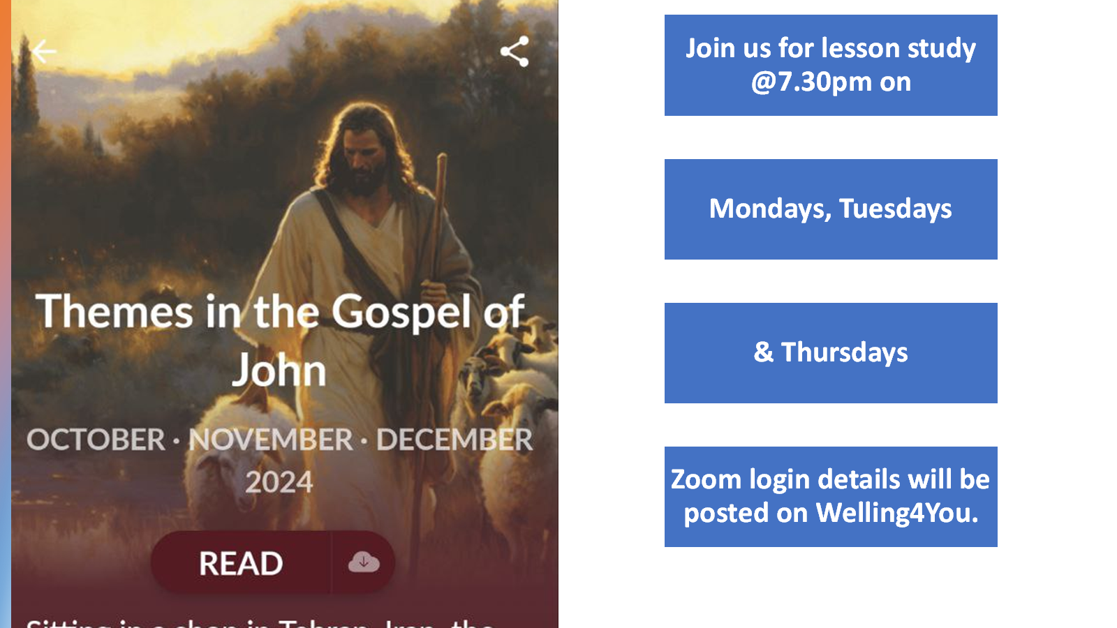 Lesson Study- Themes in the Gospel of John logo