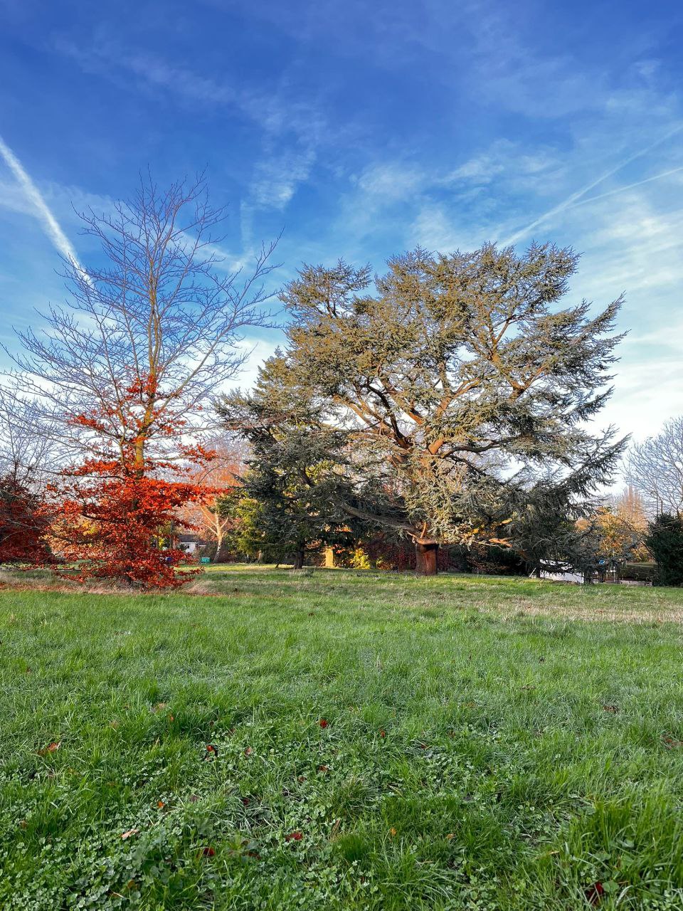 Autumn Scenes